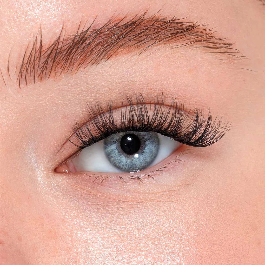 Glammour Black - Kit Extensions de Cils